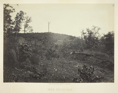 Pine Mountain, 1866 by George N. Barnard