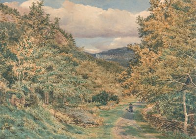 A Road Near Bettws-y-Coed by George Price Boyce