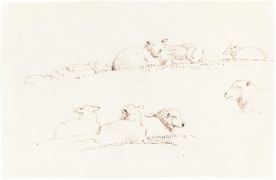 Studies of Sheep in Pasture by George Richmond