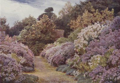 Michaelmas Daisies, Munstead Wood by George Samuel Elgood