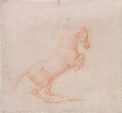 A Prancing Horse, Facing Right by George Stubbs