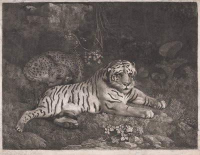 A Tiger and a Sleeping Leopard by George Stubbs
