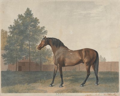 Anvil by George Stubbs