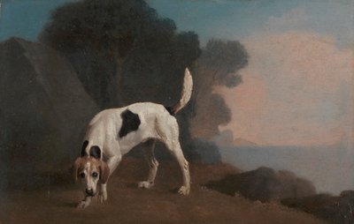 Foxhound by George Stubbs
