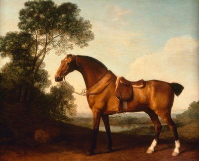 A Saddled Bay Hunter by George Stubbs