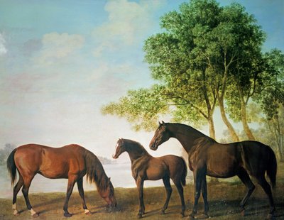 Shafto Mares and a Foal by George Stubbs