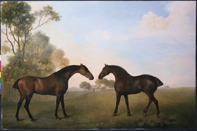 Two Hunters out at Grass by George Stubbs