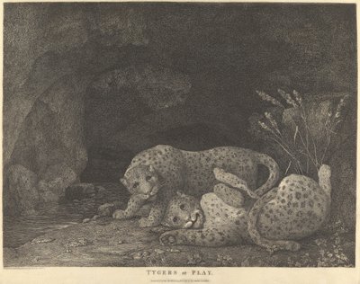 Tigers at Play by George Stubbs