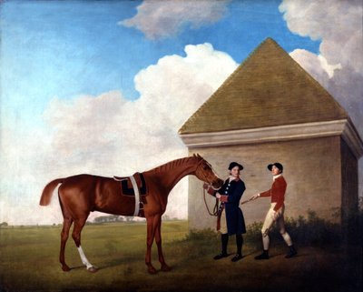 Unknown Image by George Stubbs