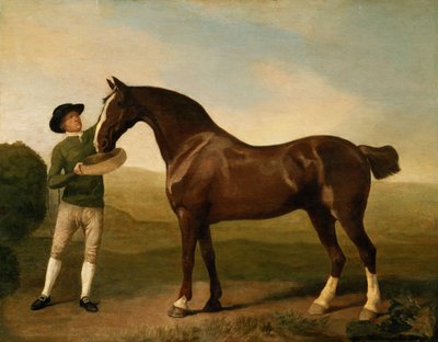 Unknown Image by George Stubbs