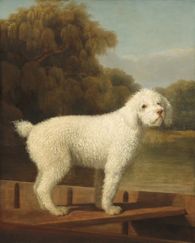 White Poodle in a Punt by George Stubbs