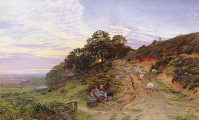Pitch Hill near Ewhurst by George Vicat Cole