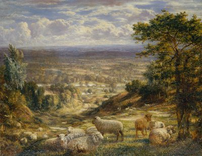 A Summer Landscape with Sheep by George William Mote