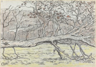 Felled Tree, Normandy by Georges Lacombe