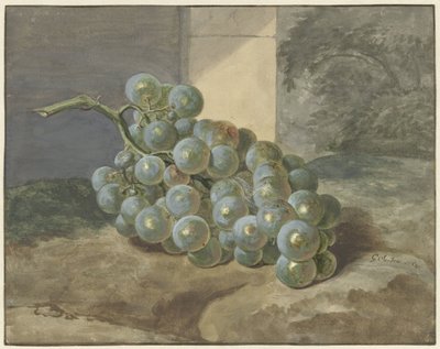Bunch of Grapes by Gerard Sanders