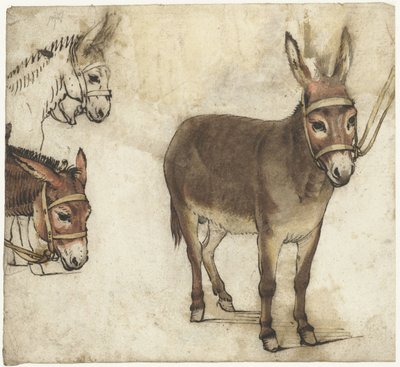 Study Sheet with Donkeys by Gerard ter Borch (I)