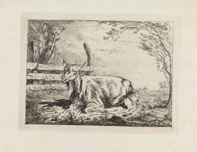 Lying Goat by a Fence by Gerard van Nijmegen