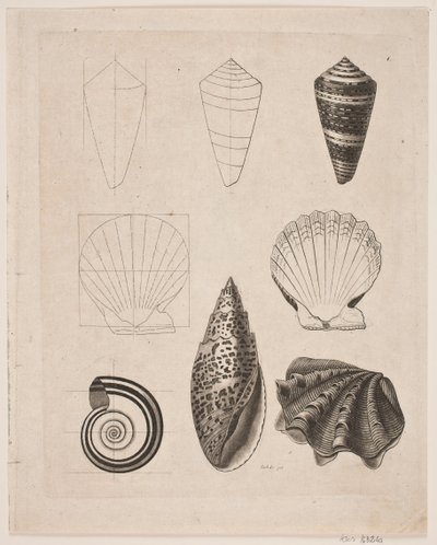 Board with Snails by Gerhard Ludvig Lahde