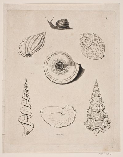 Board with Snails by Gerhard Ludvig Lahde