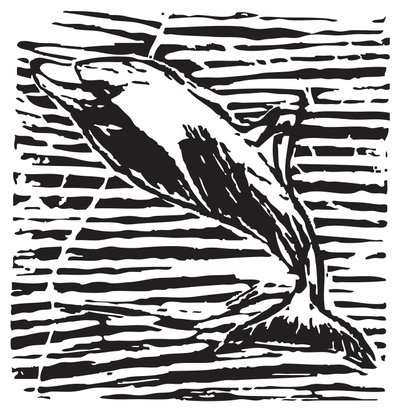 Dolphin by Gerhardt Isringhaus