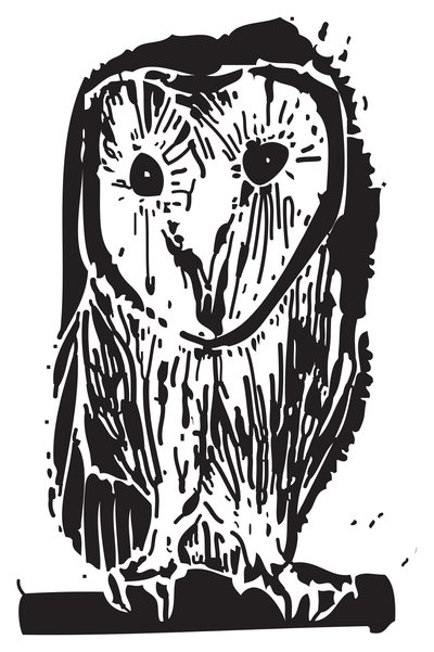 Owl by Gerhardt Isringhaus