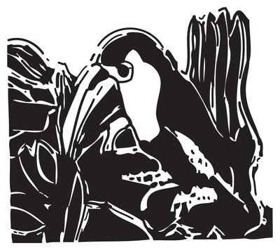 Toucan by Gerhardt Isringhaus