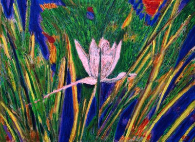 Water Lilies, 2019 by Gerhardt Isringhaus