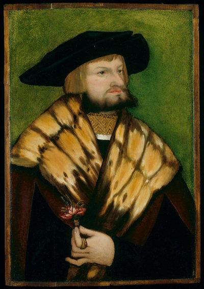Portrait of Leonhard Fuchs by German