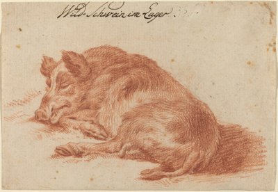 Wild Boar by German 18th Century