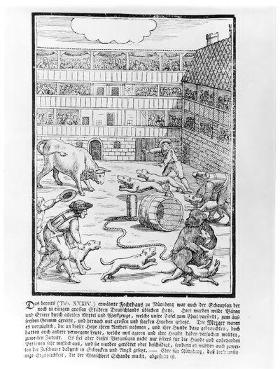Bull and bear Baiting by German School