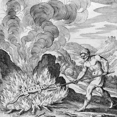 Burning a Salamander from Musaeum Hermeticum by German School