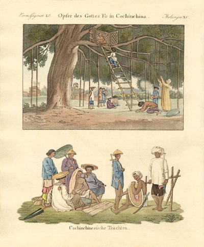 Cochin Chinese uses and dresses by German School