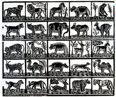Collection of Animals by German School