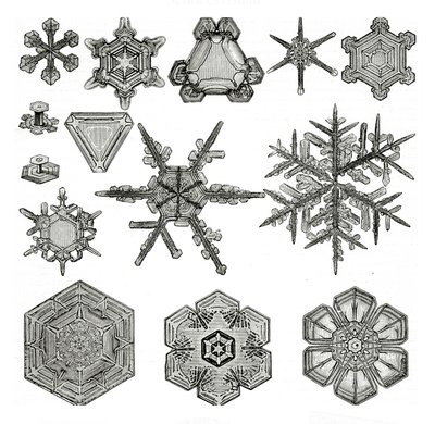 Different forms of snowflakes by German School