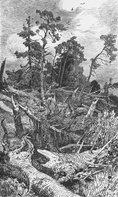 Effects of a Hurricane by German School