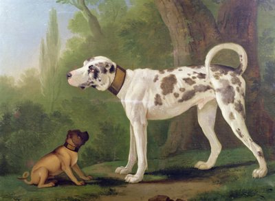 Hound and Terrier by German School
