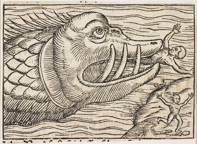 Jonah and the Whale by German School