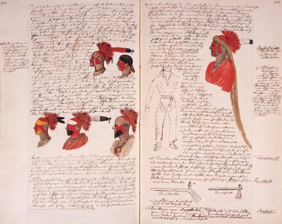Journal of Prince Maximilian of Wied by German School