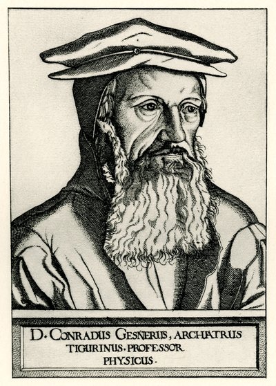 Konrad Gesner by German School