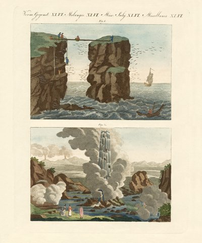 Nordic Curiosities by German School