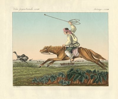 Ostrich Hunting by German School