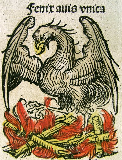 Phoenix by German School
