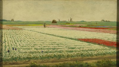 Tulip Fields by Gerrit Willem Dijsselhof