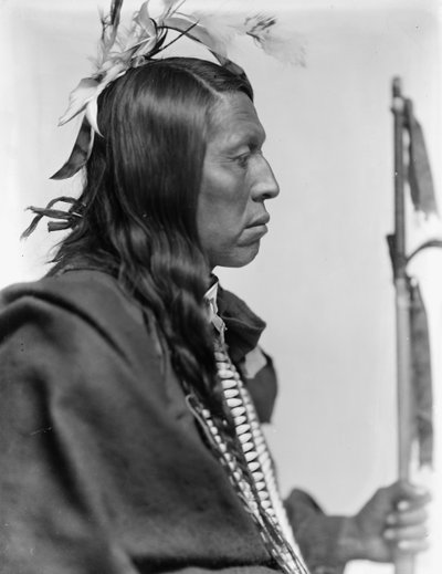 Sioux chief Flying Hawk by Gertrude Käsebier