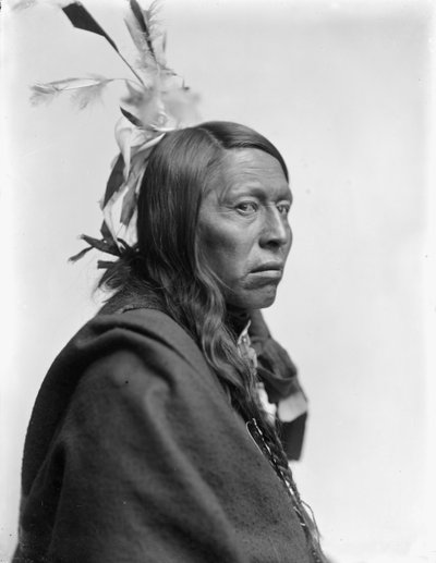 Sioux Chief Flying Hawk by Gertrude Käsebier