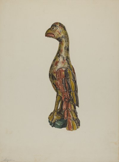Pa. German Parrot by Giacinto Capelli