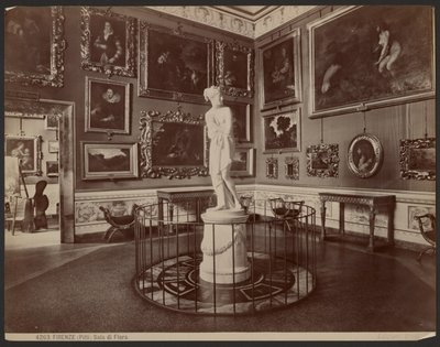 Florence, Pitti Palace, Sala di Flora by Giacomo Brogi