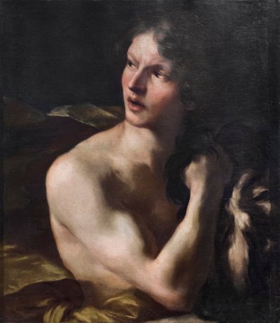 David by Gian Lorenzo Bernini