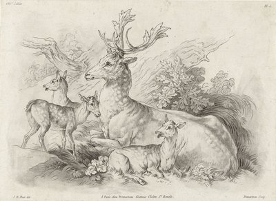 Resting Deer by Gilles Demarteau