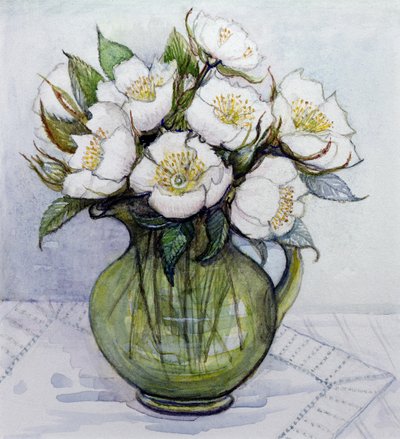 Christmas Roses, 1984 by Gillian Lawson